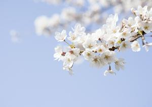 医学部受験予備校で合格を目指す